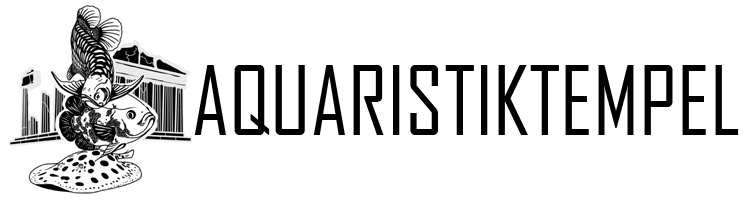 Zur Startseite gehen